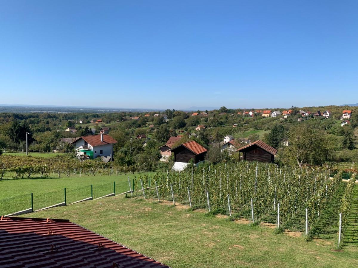 Apartament Apartman Grc Dugo Selo Zewnętrze zdjęcie